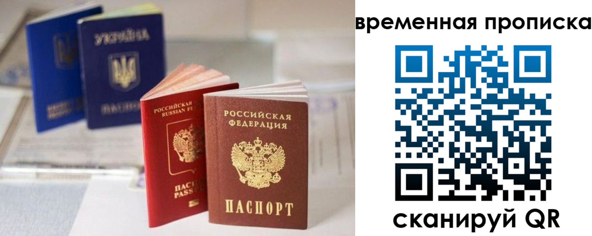 найти адрес прописки в Коркино